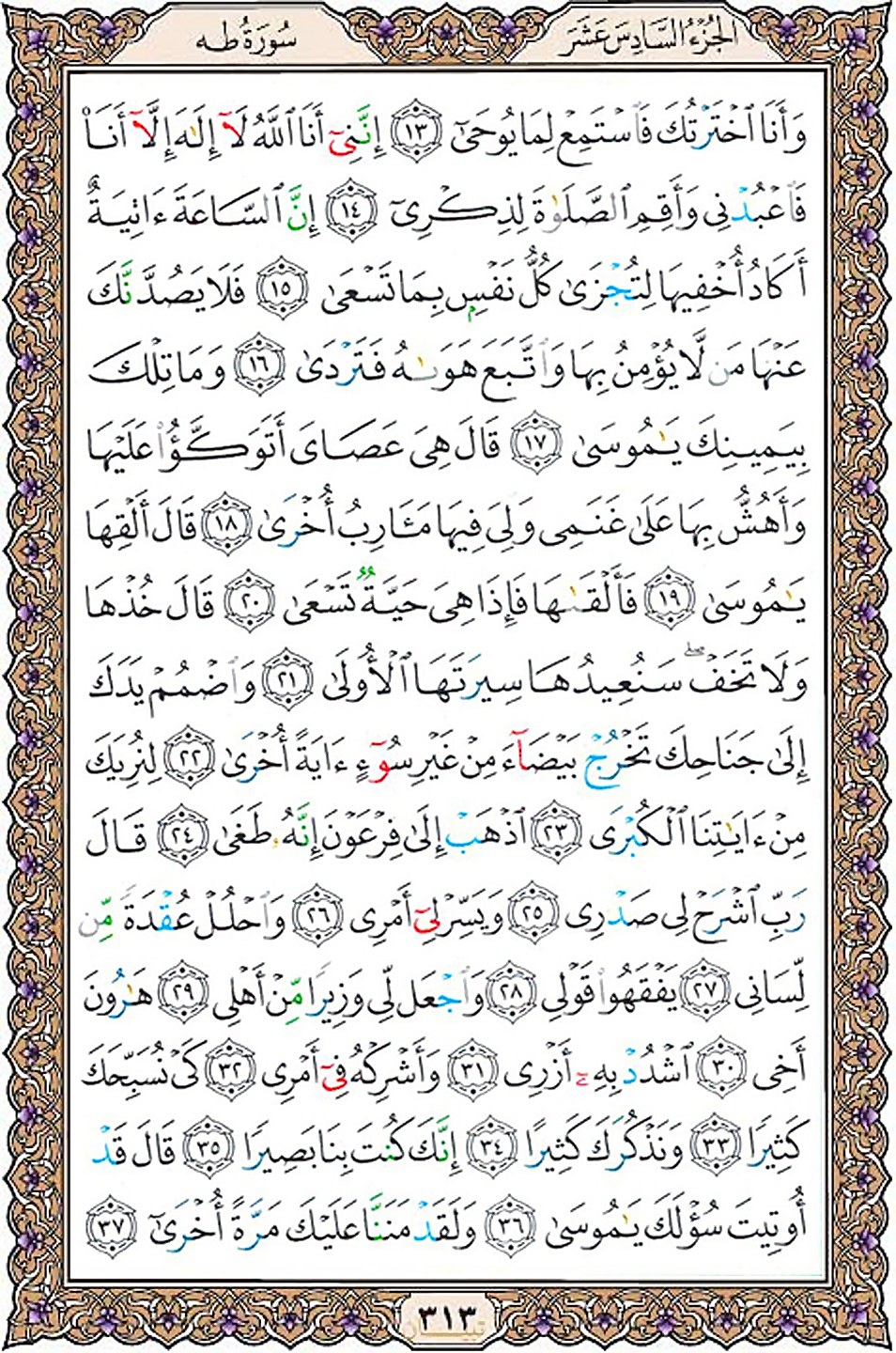قرآن  عثمان طه با کیفیت بالا صفحه 313
