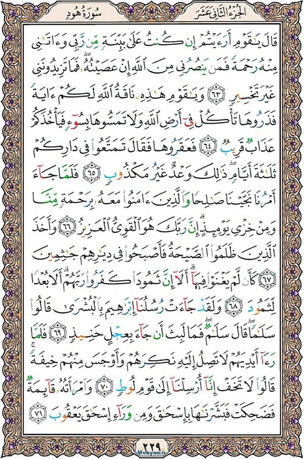 قرآن  عثمان طه با کیفیت بالا صفحه 229