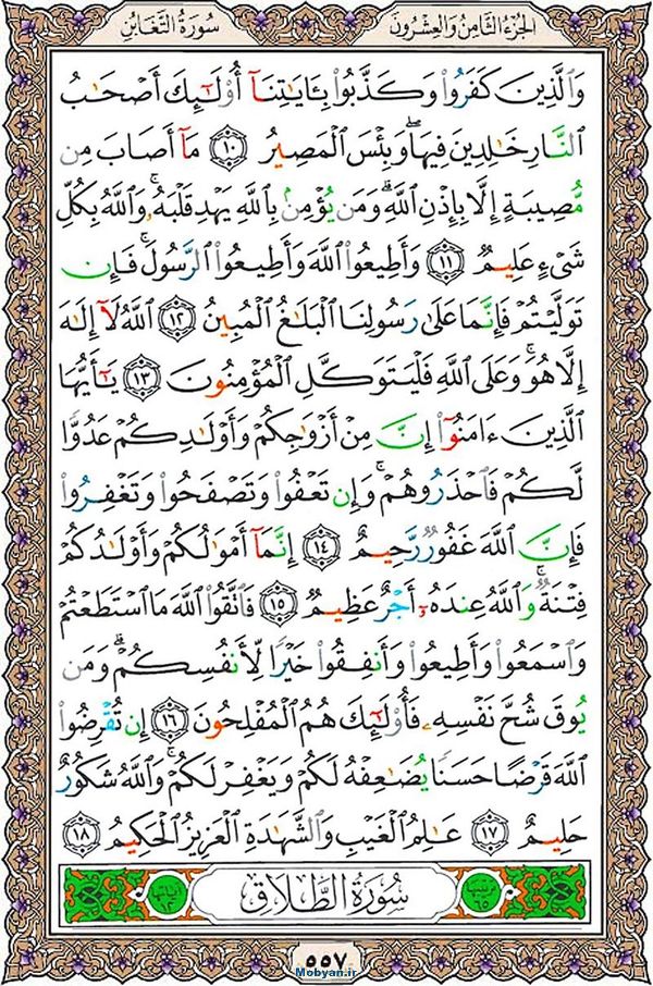 قرآن  عثمان طه با کیفیت بالا صفحه 557